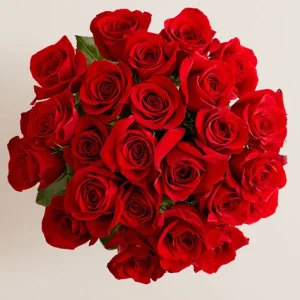 Two Dozen Red Roses