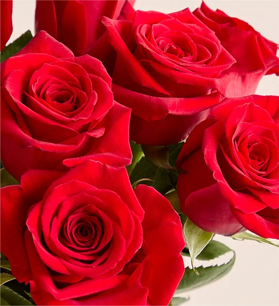 Two Dozen Red Roses - Image 2